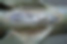 Slike — 200-2398/A