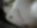 Fotografias — ES 125