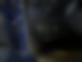 Immagini — Fiesta 1.1