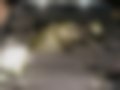 Fotografias — 318ti E36/5