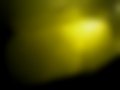 Fotografias — 318ti E36/5